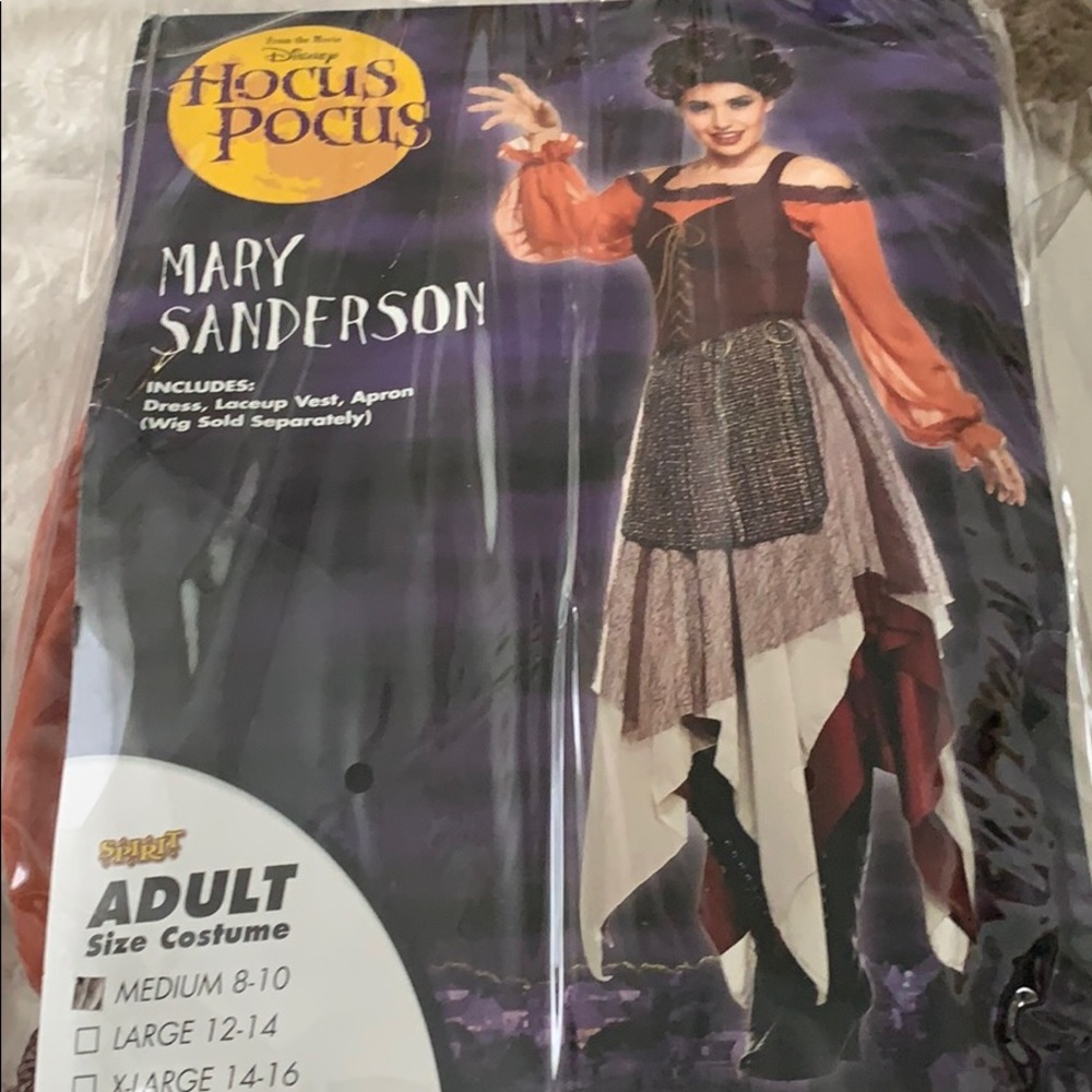 Mary Sanderson Costume